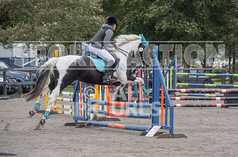 North Showjumping_2016-116 - NORTH SHOW SHOWJUMPING 2016