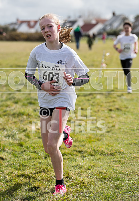 Keith Falla Memorial Cross Country 2018-18 - KEITH FALLA MEMORIAL XC 2018