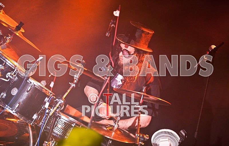 Peppered Ant Legs-8 - PEPPERED ANT LEGS at RoA-3