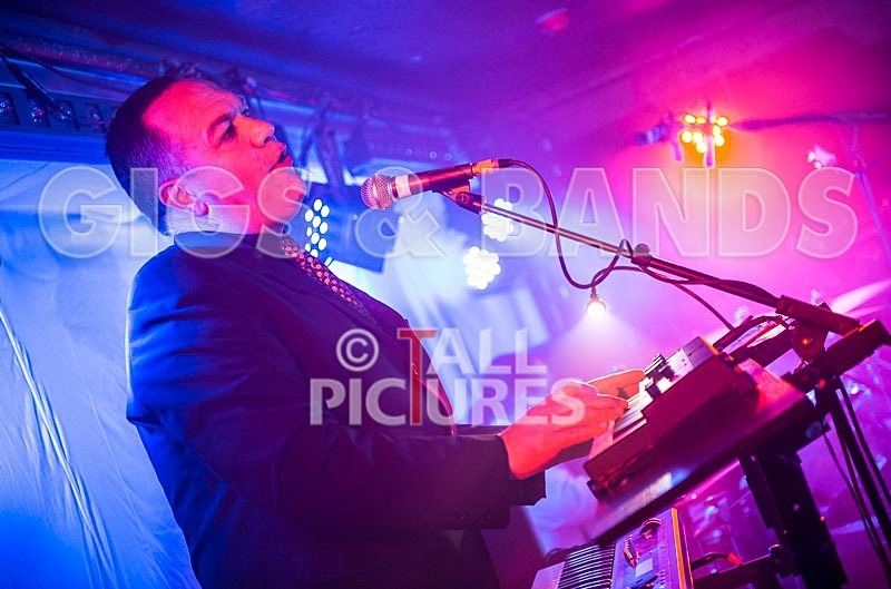 The Pulse-137 - THE PULSE