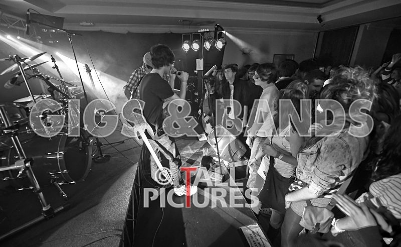 Feedback-67 - FEEDBACK at RoA-8