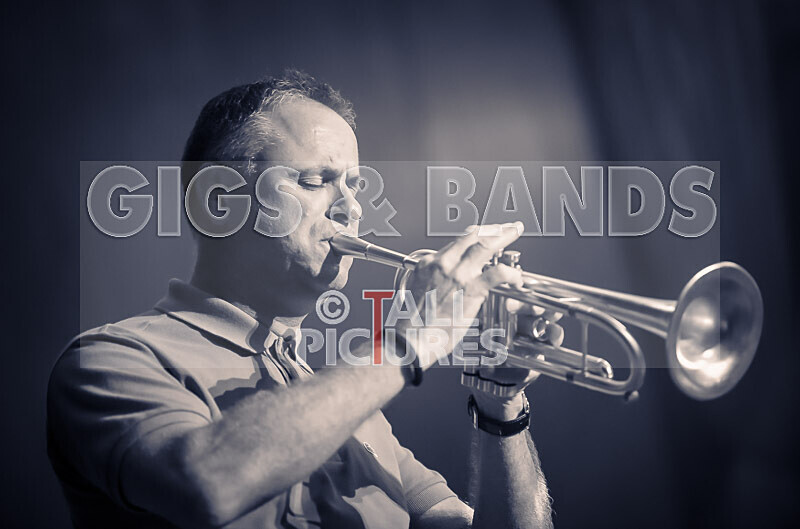 Jazz for Andy-65 - JAZZ FOR ANDY