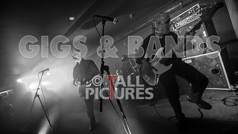 The Wilko Johnson Band-51 - THE WILKO JOHNSON BAND