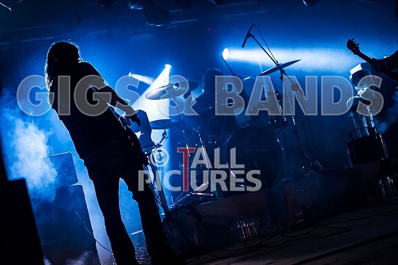 Viking Skull-13 - VIKING SKULL