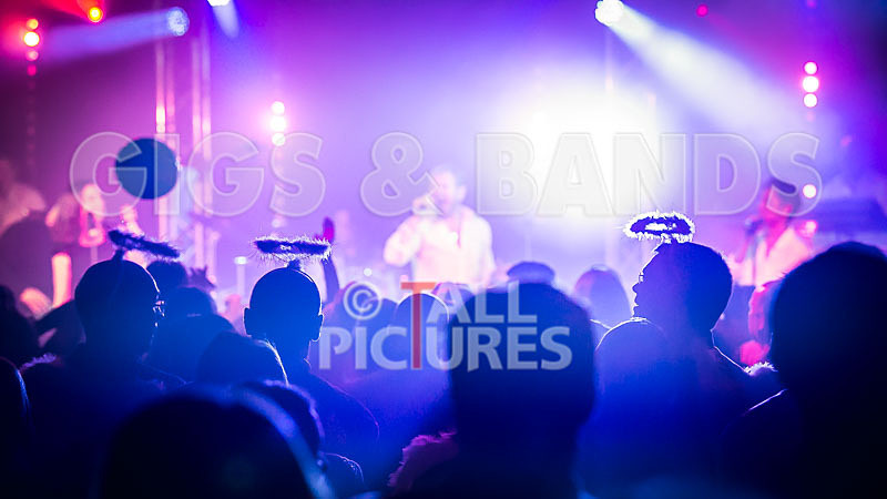 King Rat  the Soul Cats-379 - KING RAT AND THE SOUL CATS