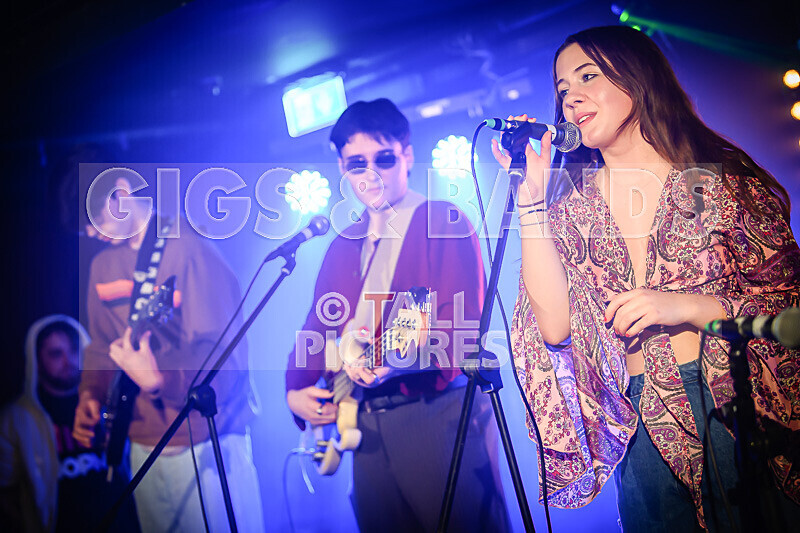 Dislocated-24 - DISLOCATED