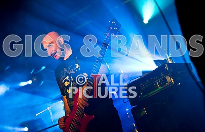 Breed77-11 - BREED77