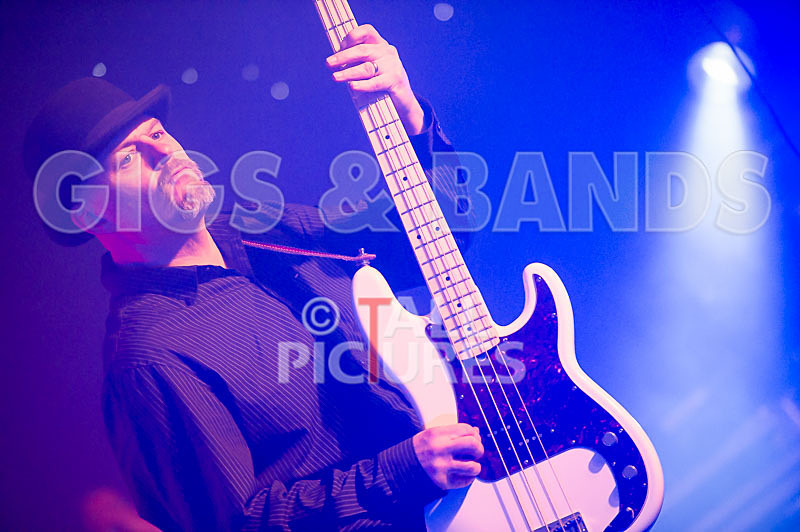 Peppered Ant Legs-207 - PEPPERED ANT LEGS