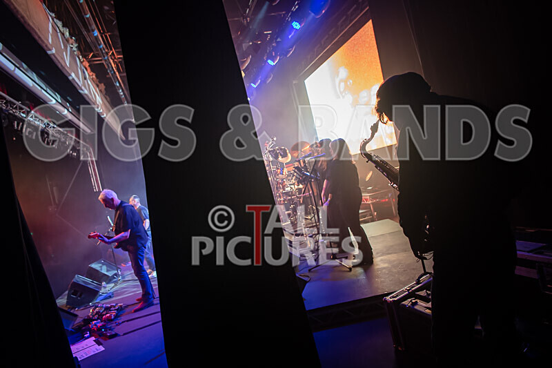 Elysium as Pink Floyd-123 - ELYSIUM as PINK FLOYD