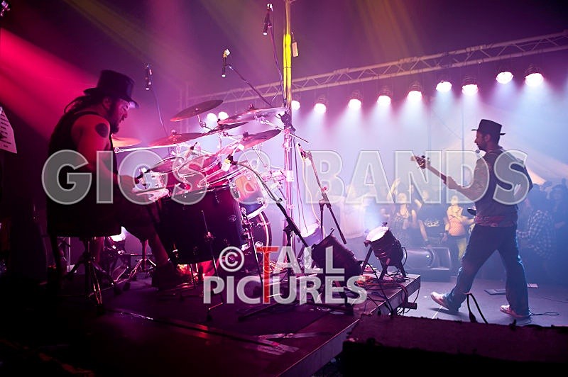 Peppered Ant Legs-49 - PEPPERED ANT LEGS