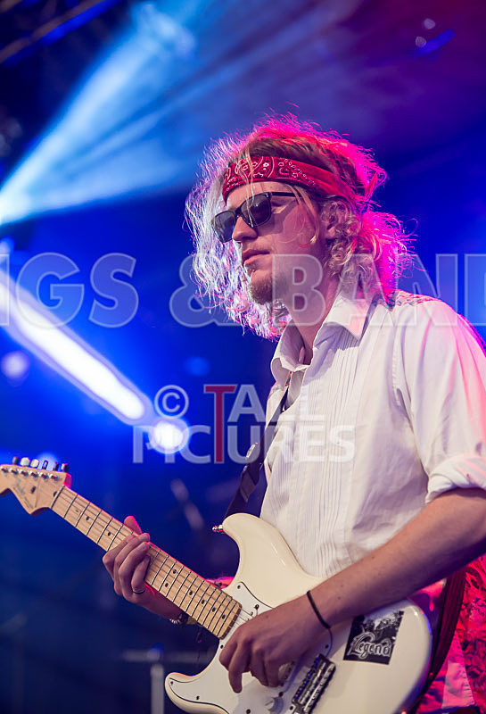 Rat Salad-20 - RAT SALAD