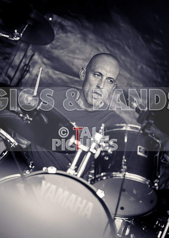 Buffalo Hudleston-729 - BUFFALO HUDLESTON