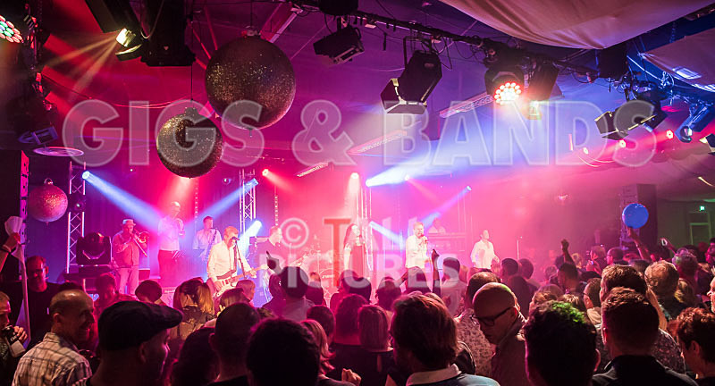 King Rat the Soul Cats-330 - KING RAT AND THE SOUL CATS