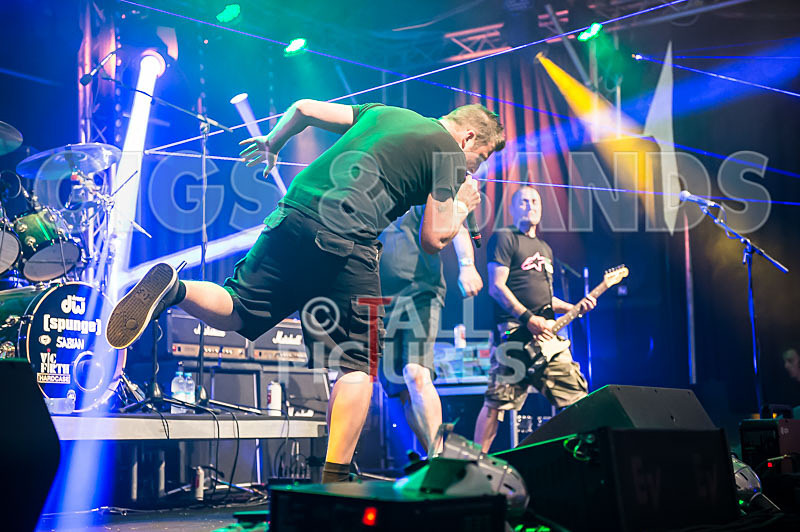 Spunge-79 - [spunge]