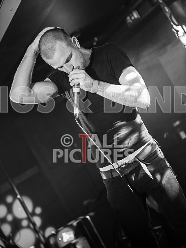 Heymoonshaker-17 - HEYMOONSHAKER