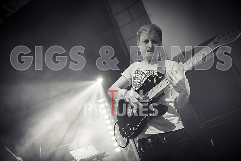 Pigsx7-38 - PIGS PIGS PIGS PIGS PIGS PIGS PIGS