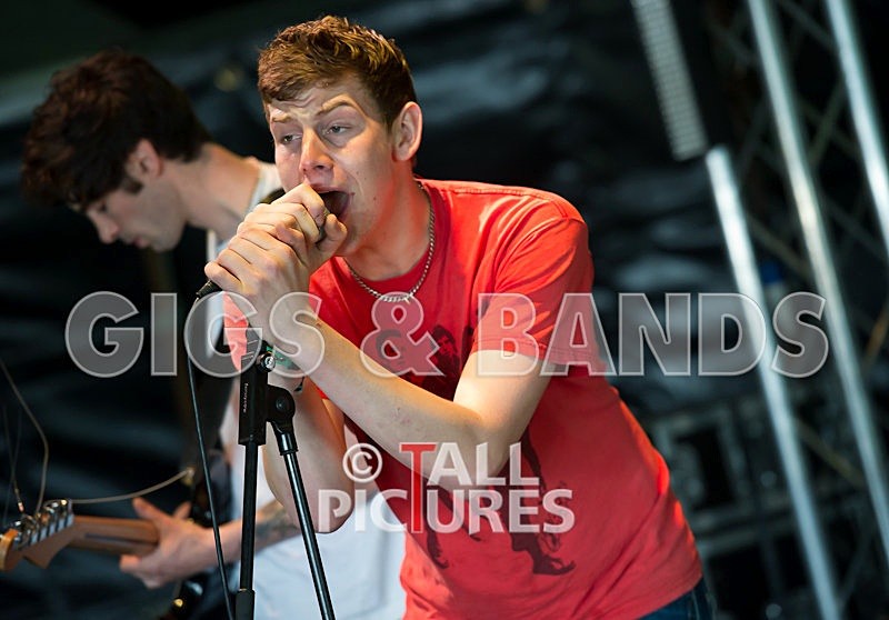 The Hype-11 - THE HYPE