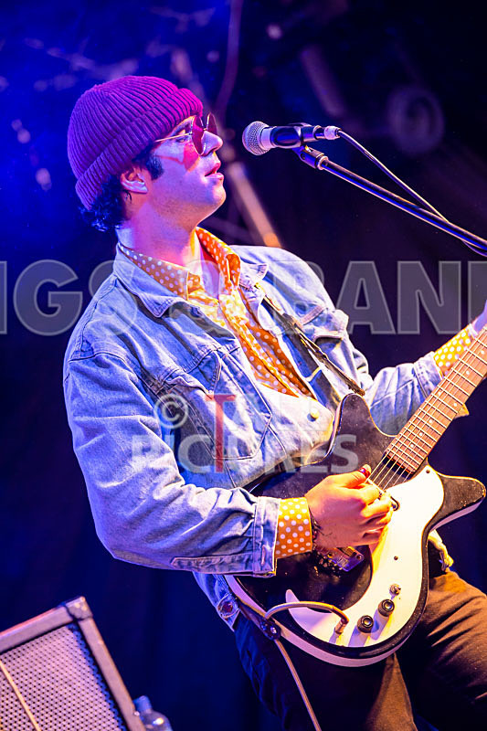 Surfin Birds-57 - SURFIN' BIRDS