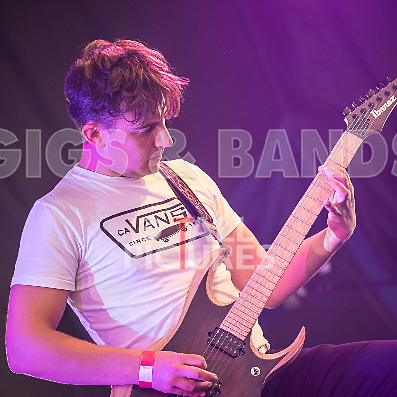 Granite Wolf-20 - GRANITE WOLF