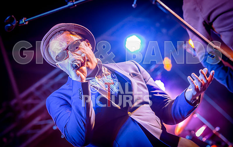 Sons of the Desert-247 - SONS OF THE DESERT