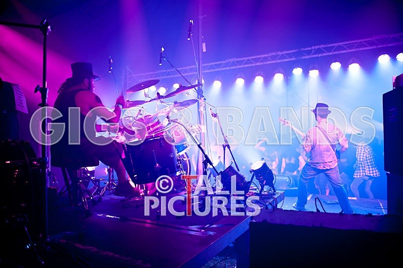 Peppered Ant Legs-85 - PEPPERED ANT LEGS