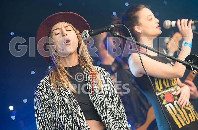 Element 6-19 - ELEMENT 6