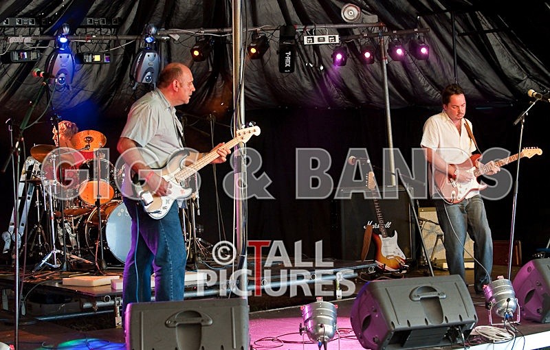 Wild Card-12 - HOGWASH 2009 - BANDS