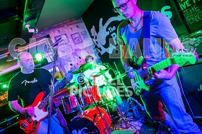 The Paperboys-44 - THE PAPERBOYS