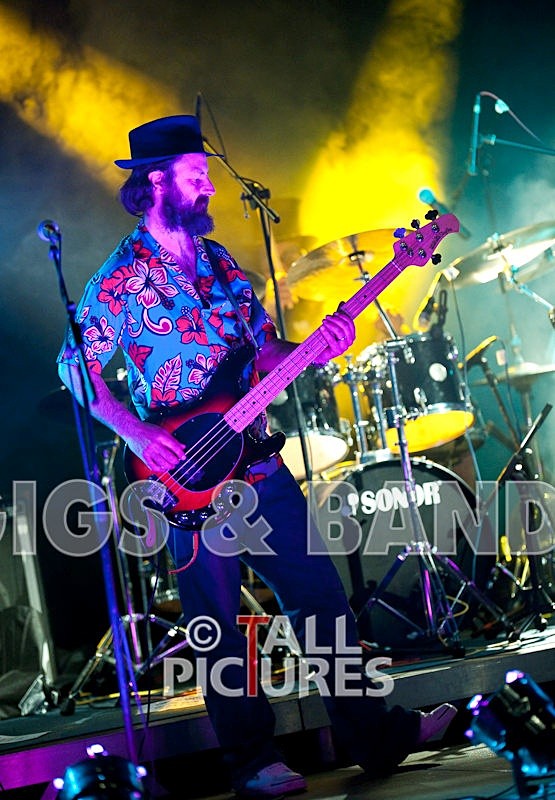 Peppered Ant Legs-5 - PEPPERED ANT LEGS at RoA-3