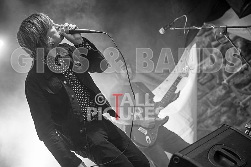 The Cryptics-120 - THE CRYPTICS