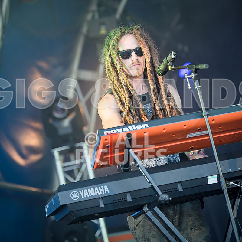 Tree House Fire-21 - TREE HOUSE FIRE