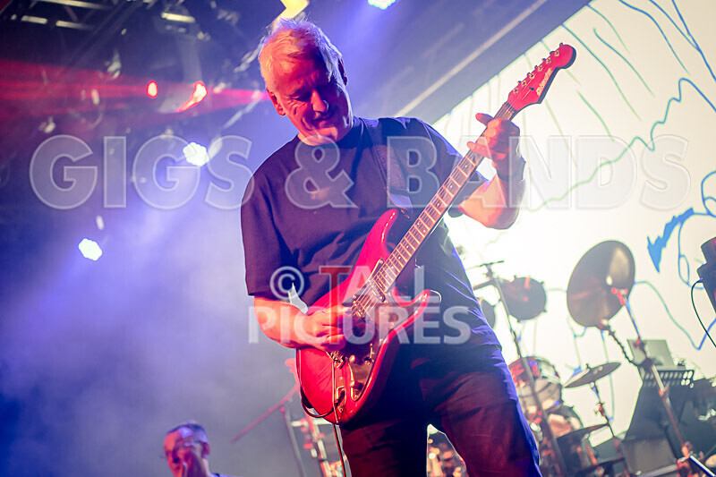 Elysium as Pink Floyd-45 - ELYSIUM as PINK FLOYD