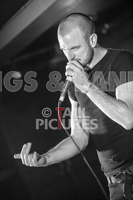 Heymoonshaker-12 - HEYMOONSHAKER