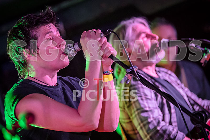 Space Pirates of Rocquaine-39 - VALE EARTH FAIR UNPLUGGED 2018