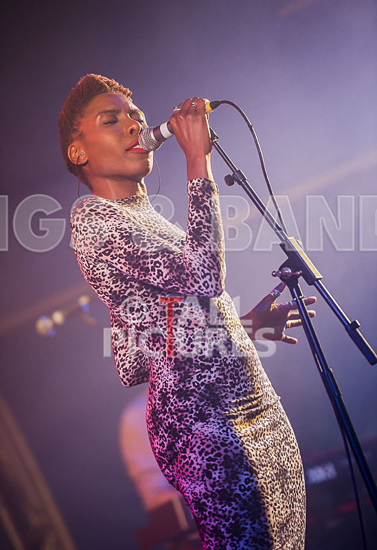 The Delegators-26 - THE DELEGATORS