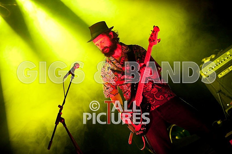 Peppered Ant Legs-40 - PEPPERED ANT LEGS at RoA-3