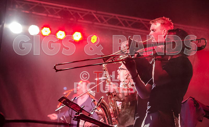 Sons of the Desert-293 - SONS OF THE DESERT