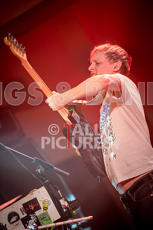 Pigsx7-110 - PIGS PIGS PIGS PIGS PIGS PIGS PIGS