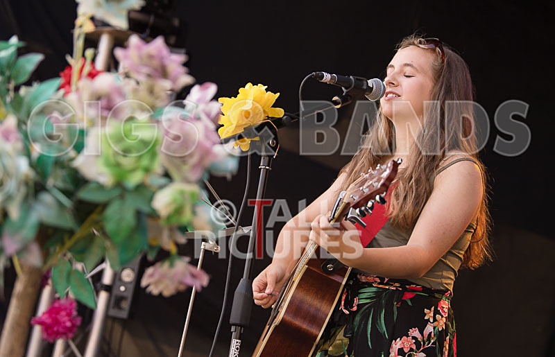 Vale Earth Fair 2017_PRESS EDIT-5 - VALE EARTH FAIR 2017_THE PRESS EDIT