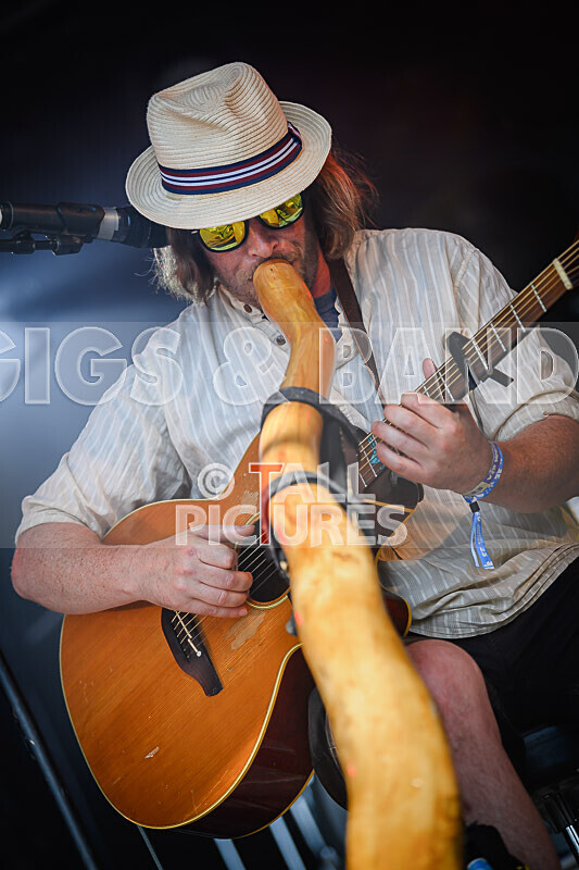 Buffalo Hudleston-731 - BUFFALO HUDLESTON