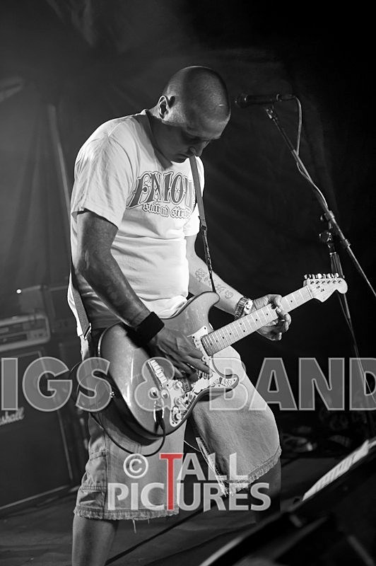 Spunge-29 - [spunge]