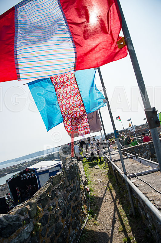 Vale Earth Fair 2017_SCENE-15 - VALE EARTH FAIR 2017_THE SCENE