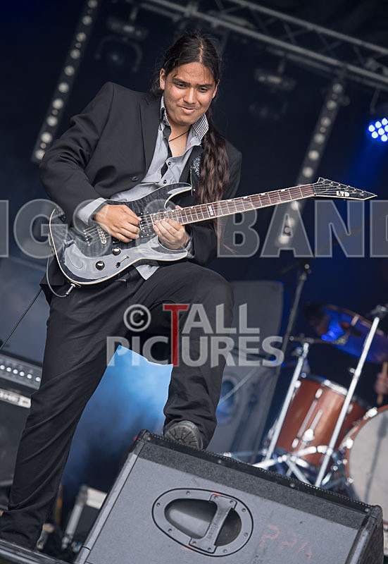 Stone Em All-304 - STONE EM ALL