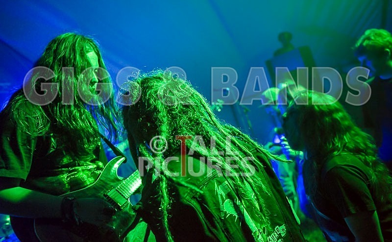 Stone Em All-64 - STONE EM ALL