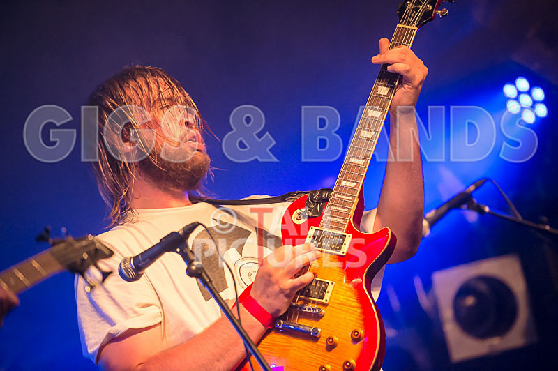 To the Woods-253 - TO THE WOODS