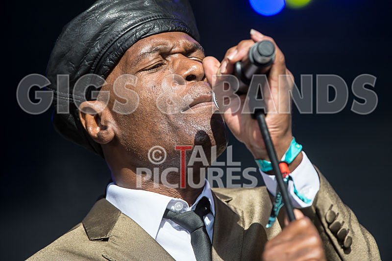 The Selecter-66 - THE SELECTER