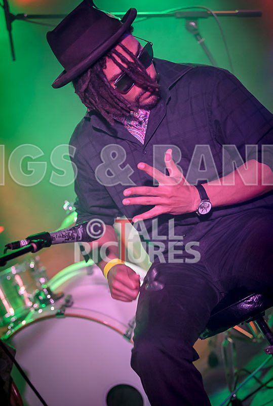 The Rectory Hill Skillet Lickers-25 - VALE EARTH FAIR UNPLUGGED 2018