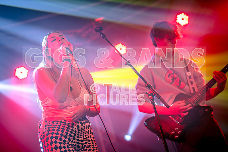 Darker Shade-5 - DARKER SHADE