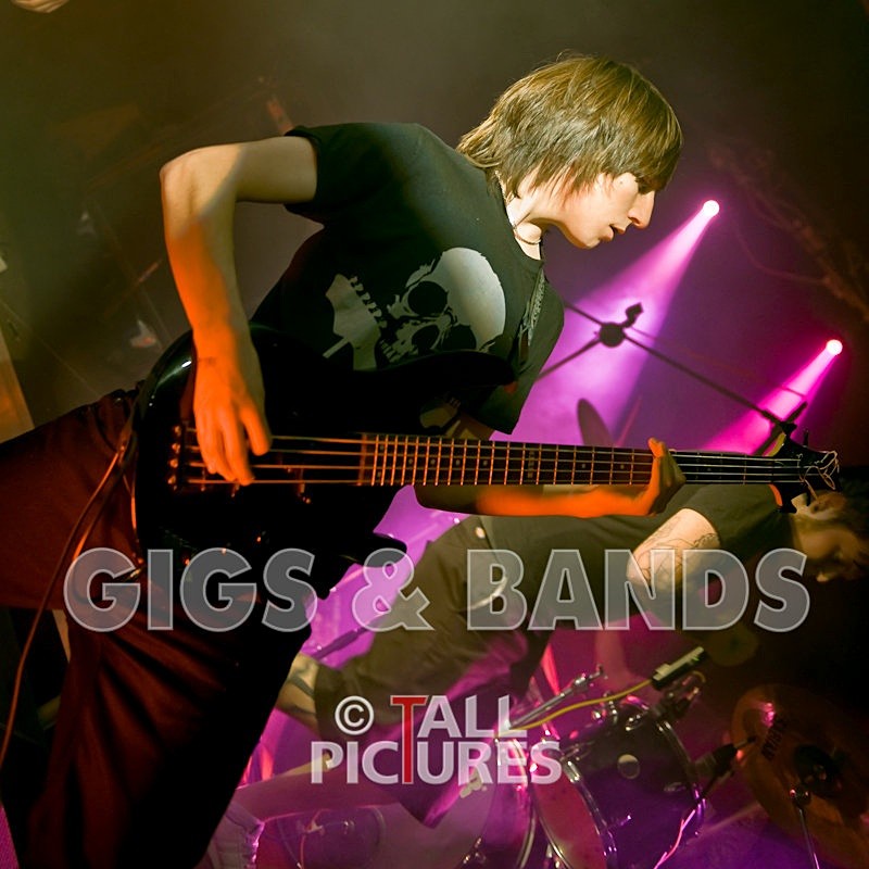 Brutus Stonefist-34 - BRUTUS STONEFIST at RoA-2