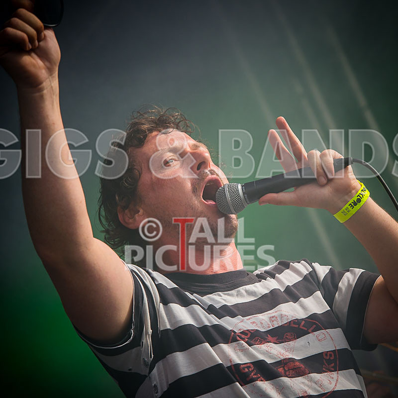 Pirate Party Brigade-41 - PIRATE PARTY PARADE